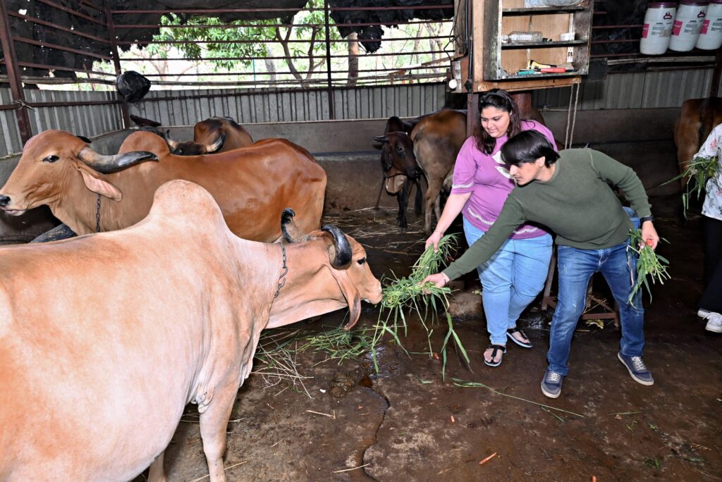 Two Shivam Autozone employees participate in CSR initiatives by feeding fresh green grass to cattle at a sheltered facility. This engagement reflects Shivam Autozone’s core values of social responsibility and sustainability. By supporting animal welfare and local agriculture, the company continues to drive a positive community impact across Maharashtra and Mumbai communities.
