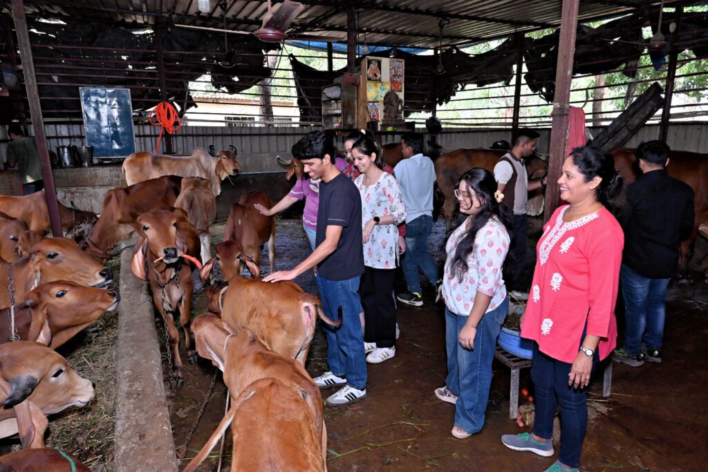 Several Shivam Autozone employees interacting with and petting cattle at a local goshala. This collective team effort underscores the company's commitment to social responsibility and active participation in CSR initiatives that benefit the Maharashtra and Mumbai communities, fostering a sense of shared community impact.